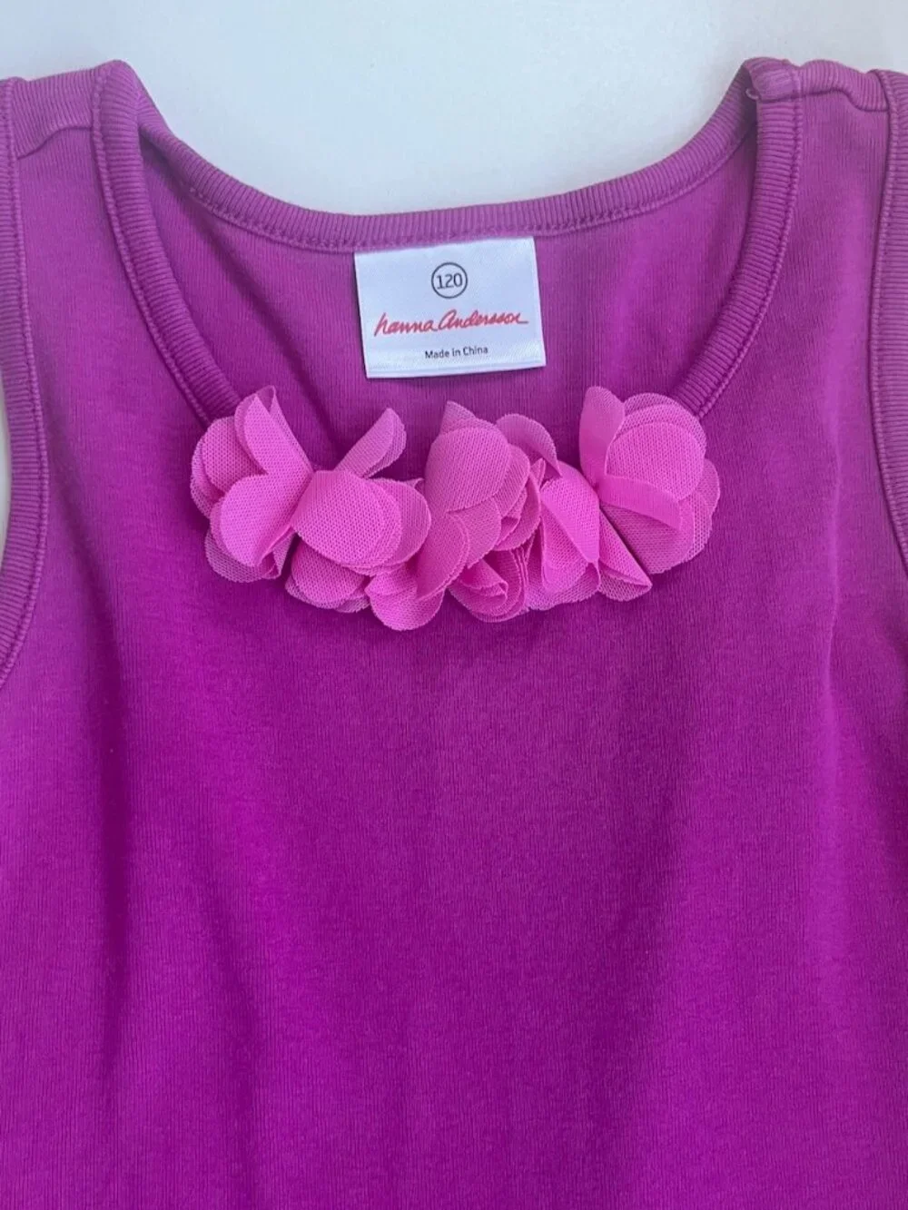 Hanna Andersson Tulle Ruffle Dress (Sz 120)